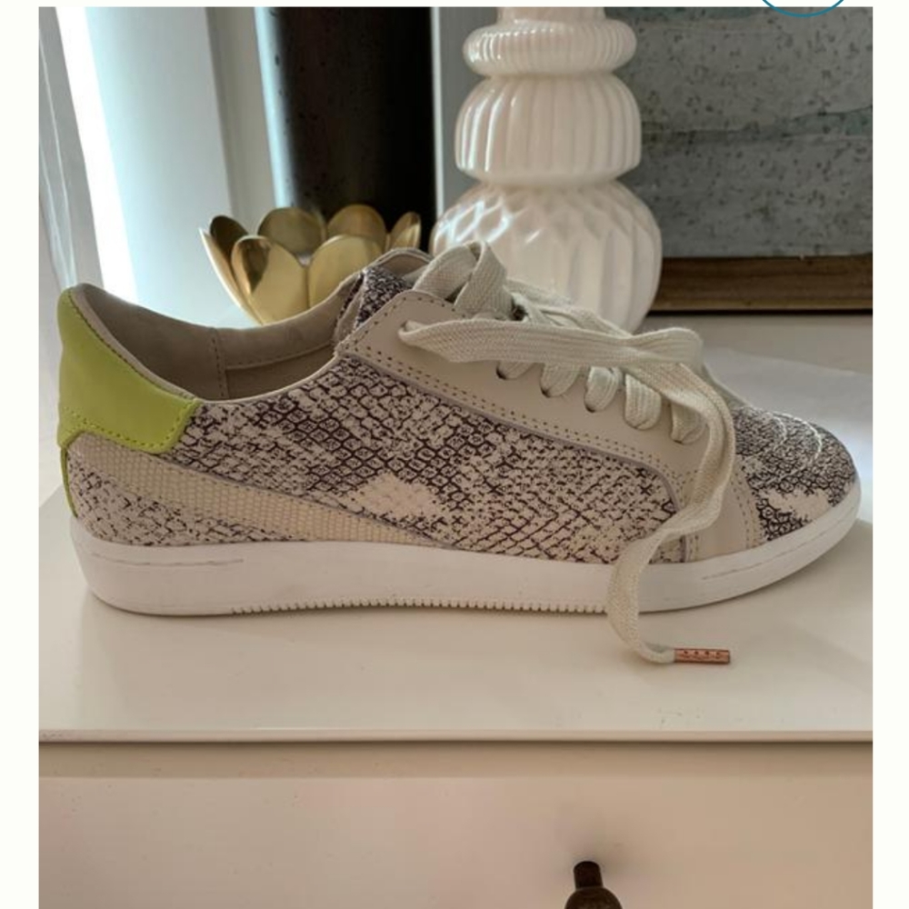 Dolce Vita Nino Leather Sneakers Anthropologie